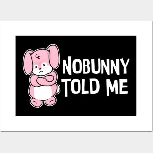 Nobunny Told Me Posters and Art